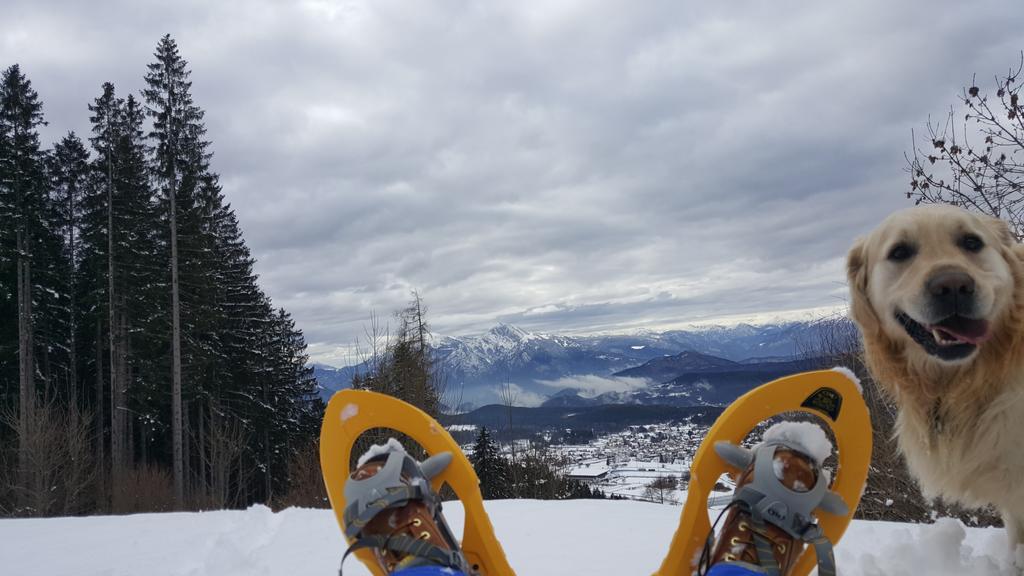 Hotel Olimpic Baselga di Pinè Zewnętrze zdjęcie